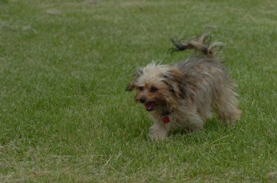 June16_07_569.JPG