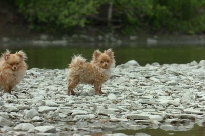 June16_07_378.JPG
