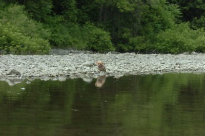 June16_07_410.JPG
