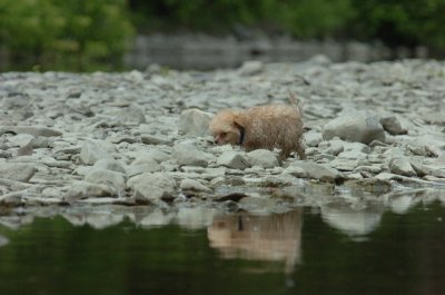 June16_07_411.JPG