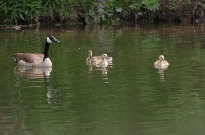 June16_07_414.JPG