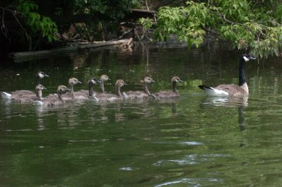 June16_07_417.JPG