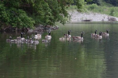 June16_07_419.JPG