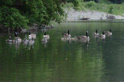 June16_07_421.JPG