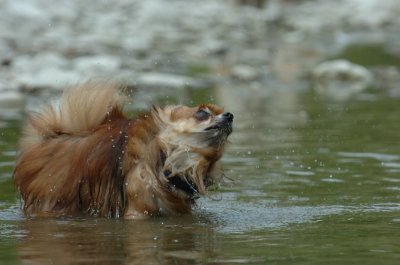 June16_07_083.JPG