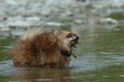 June16_07_085.JPG