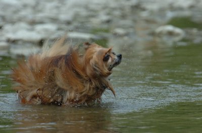 June16_07_086.JPG