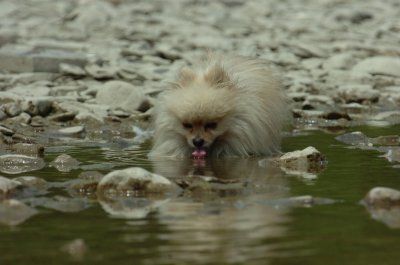 June16_07_094.JPG