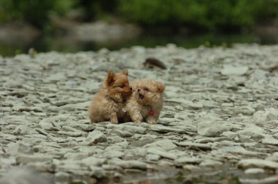 June16_07_097.JPG