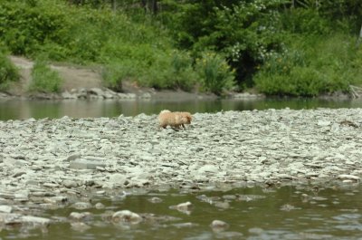 June16_07_132.JPG