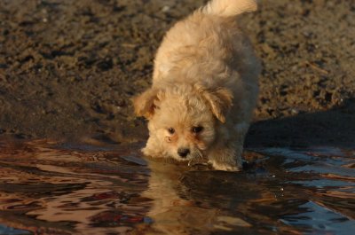 June17_07_318.JPG