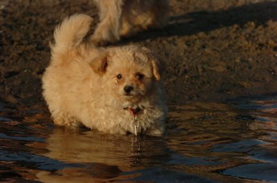 June17_07_319.JPG
