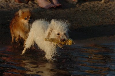 June17_07_337.JPG