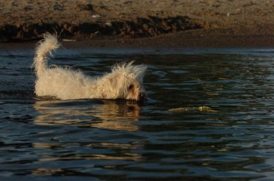June17_07_339.JPG