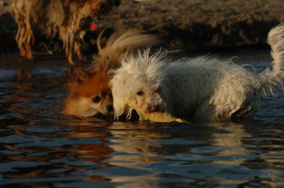 June17_07_342.JPG