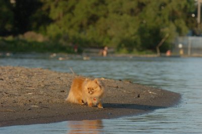 June17_07_356.JPG