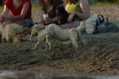 June17_07_391.JPG