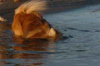 June17_07_399.JPG
