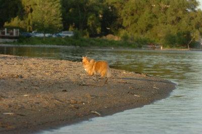 June17_07_411.JPG