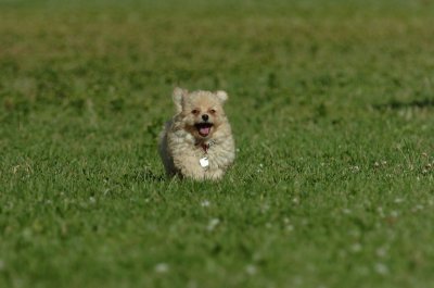 June20_07_057.JPG