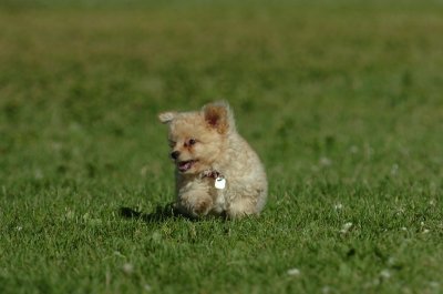 June20_07_059.JPG