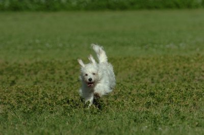 June20_07_061.JPG