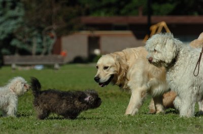 June20_07_068.JPG
