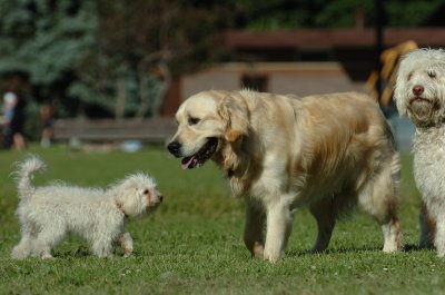 June20_07_069.JPG