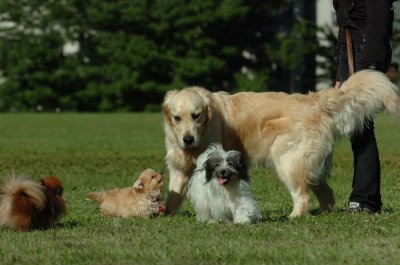 June20_07_077.JPG