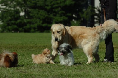 June20_07_078.JPG