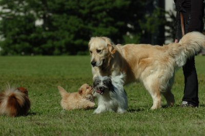 June20_07_079.JPG
