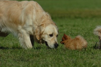 June20_07_084.JPG