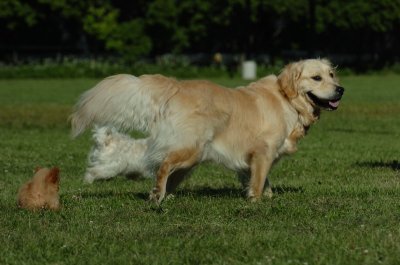 June20_07_085.JPG