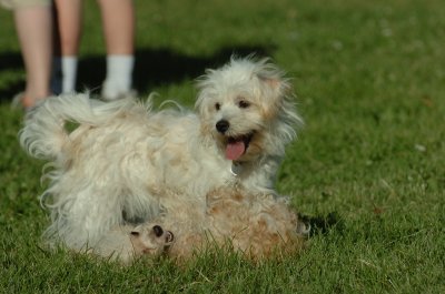 June20_07_086.JPG