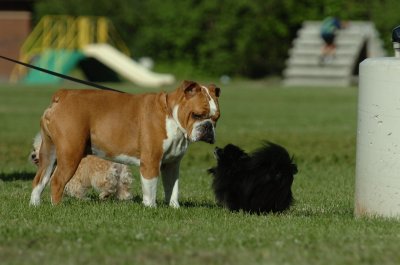 June20_07_097.JPG