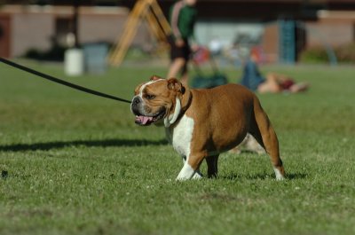June20_07_098.JPG