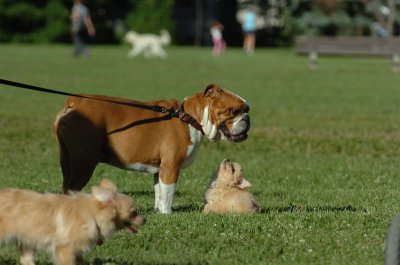 June20_07_106.JPG