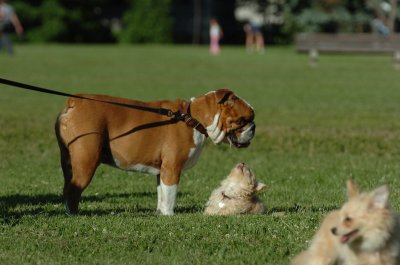 June20_07_107.JPG