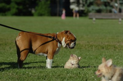 June20_07_108.JPG