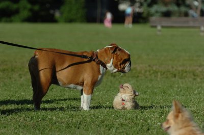 June20_07_109.JPG