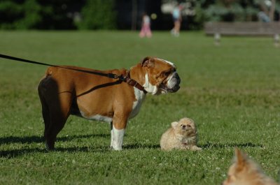 June20_07_111.JPG