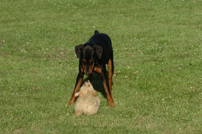 June20_07_122.JPG