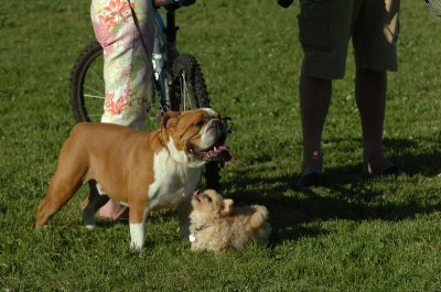 June20_07_139.JPG