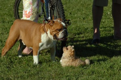 June20_07_146.JPG
