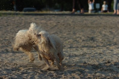 June24_07_161.JPG