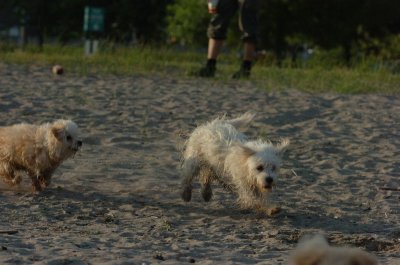 June24_07_177.JPG