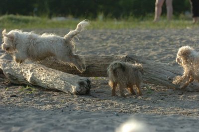 June24_07_179.JPG