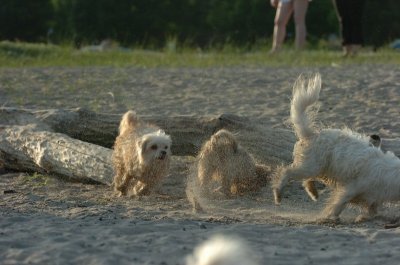 June24_07_189.JPG