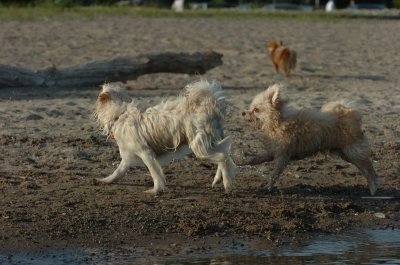 June24_07_041.JPG