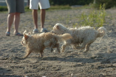 June24_07_046.JPG